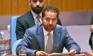 سلامتی کونسل میں پاکستان کا دوٹوک مؤقف، بھارت دہشت گردی کا سرپرست، دراندازی کے الزامات بے بنیاد قرار