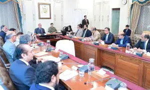 آبادی میں اضافے کی شرح 1.25 فیصد تک لانے کے منصوبے پر وزیراعظم کو بریفنگ