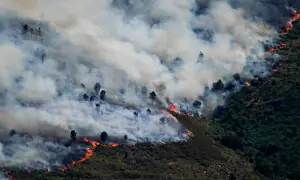 Spain declares emergency as fires force thousands of evacuations in France