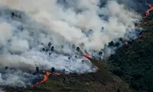 France and Spain battle &lsquo;unpredictable&rsquo; wildfires as 300,000 evacuated