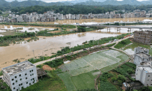 Southern, central China brace for flood risk after typhoon