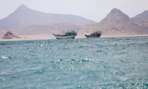Saudi Arabia unveils plans for multinational maritime defence coalition