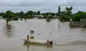 اگلے سیلاب کا انتظار اگلے سیلاب کا انتظار