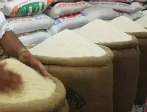 زیرِ زمین پانی کا خاتمہ : پاکستان کی چاول برآمدات کی حقیقی قیمت