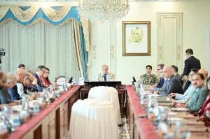 Privatisation Commission: PM Shehbaz directs completion of reforms within a month Privatisation Commission: PM Shehbaz directs completion of reforms within a month