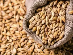 Punjab sets new wheat release price at Rs3,800 per 40kg