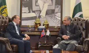 پاکستان اور ناروے کا غیرقانونی امیگریشن کی روک تھام، انسدادِ دہشت گردی میں تعاون بڑھانے پر اتفاق