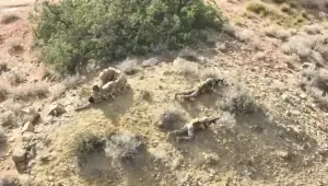 Security forces kill 10 terrorists in Khuzdar IBO Security forces kill 10 terrorists in Khuzdar IBO