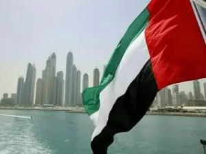 UAE says Iran attacked state oil company&rsquo;s vessel