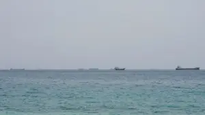 Shipping slows through Strait of Hormuz after tanker attacks, data shows