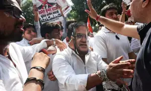 ‘Cockroaches’ join India protests ‘Cockroaches’ join India protests