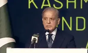 احتجاج سے معاشی پیش رفت متاثر ہوسکتی ہے، شہباز شریف کا پی ٹی آئی کو نظرثانی کا مشورہ