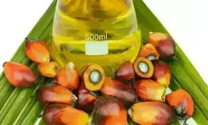 Palm closes lower on rising stockpile concerns