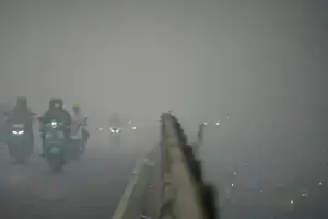 انڈونیشیا کے صدر کا جنگلاتی آگ پر قابو پانے کے لیے غیر ملکی امداد قبول کرنے کا فیصلہ