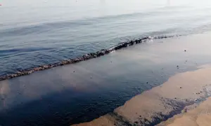 UAE's Ras Al Khaimah shuts all beaches as neighbours grapple with oil spill