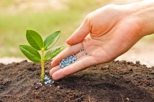 Urea off-take: No news; no worries