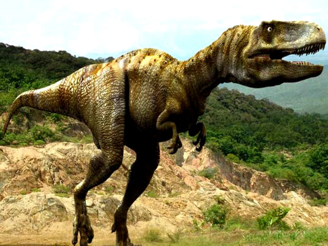 Largest ever dinosaur footprints discovered in Australia