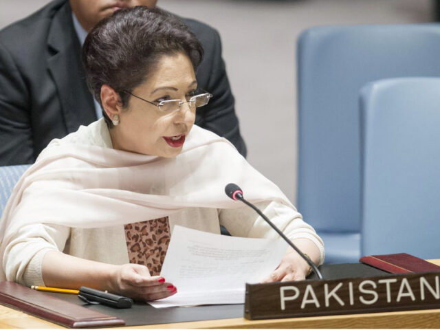 Pakistan calls for nuclear restraint, conventional forces balance for South Asia peace
