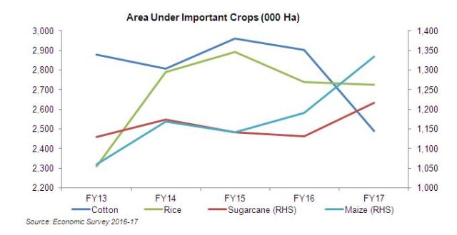 Agriculture (2016-17): the year of sugarcane