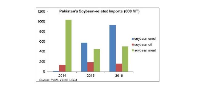 Soybean: a transition in process