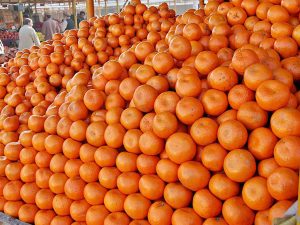 Russia to facilitate kinnow exports from Pakistan: Ahmad Jawad