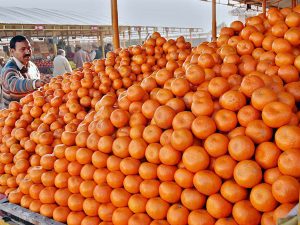 Kinnow exports to contribute lot in national economy: CRIS Kinnow exports to contribute lot in national economy: CRIS
