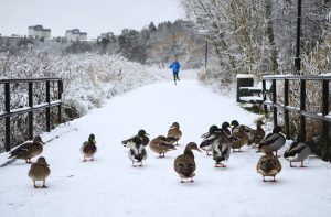 Heavy snow, high winds wreak havoc across Europe