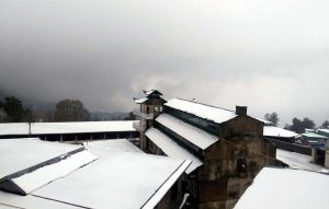 Malika-e-Kohsar in snow