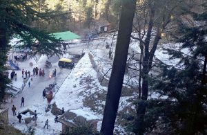 Snow covered malka-e-kohsar