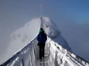 Snowboarder walks