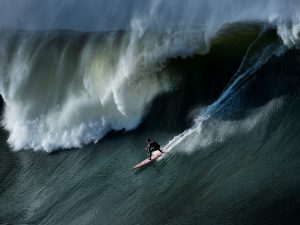 Surfer rides a wave