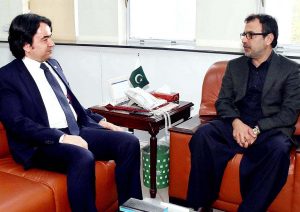 Pak, Turkey to extend bilateral relations in power sector