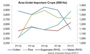 Sugar thrives, cotton dives