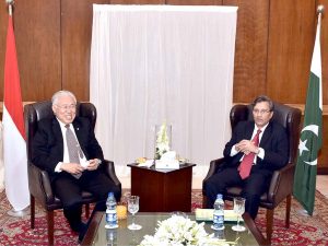 'Pak, Indonesia enjoy close diplomatic, economic ties based on religious affinity'