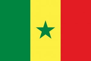 Senegal in crackdown on timber trafficking after massacre