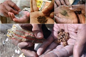 Delay in destroying tons of toxic betel nuts over traders pressure