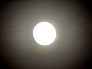 First lunar eclipse of 2018 to take place on Jan 31