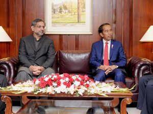 Pakistan, Indonesia agree to further expand scope of bilateral ties