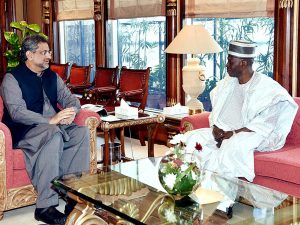 Nigeria can avail Pak cooperation in various sectors: PM