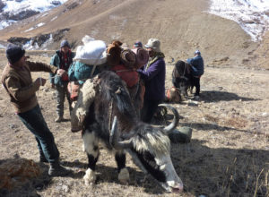 Ancient Silk Road barter trade continues across High Asia's peaks