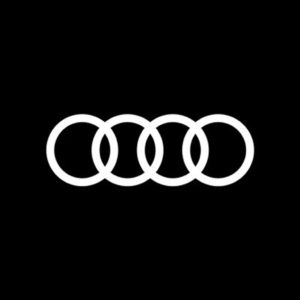 Audi chairman rubbishes report of CEO Stadler ouster