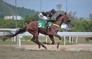 Racing: Brazilian jockey bags world record 12,844th win