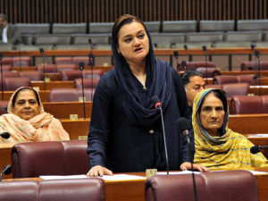 'All constitutional institutions must function within limits without interference'