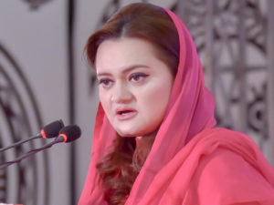 Culture and democracy inextricably linked to each other: Marriyum