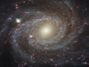 Andromeda galaxy was formed in 'recent' star crash