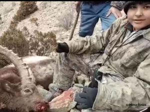 13-year-old boy from Islamabad hunts 40-inch Himalayan Ibex