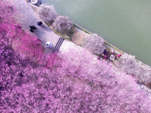 Pink University