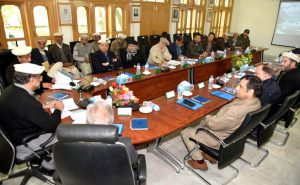 Govt prioritizes power projects for Chitral: PM