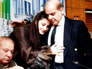 Shehbaz Sharif appointed as PML-N's interim party president