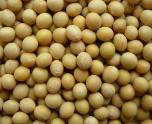 Soyabean, palm oil imports increase by 82.19 pc and 19.04 pc respectively